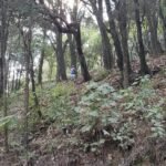Venta Terreno4